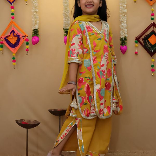 Ureb Cut Kurti Plazzo